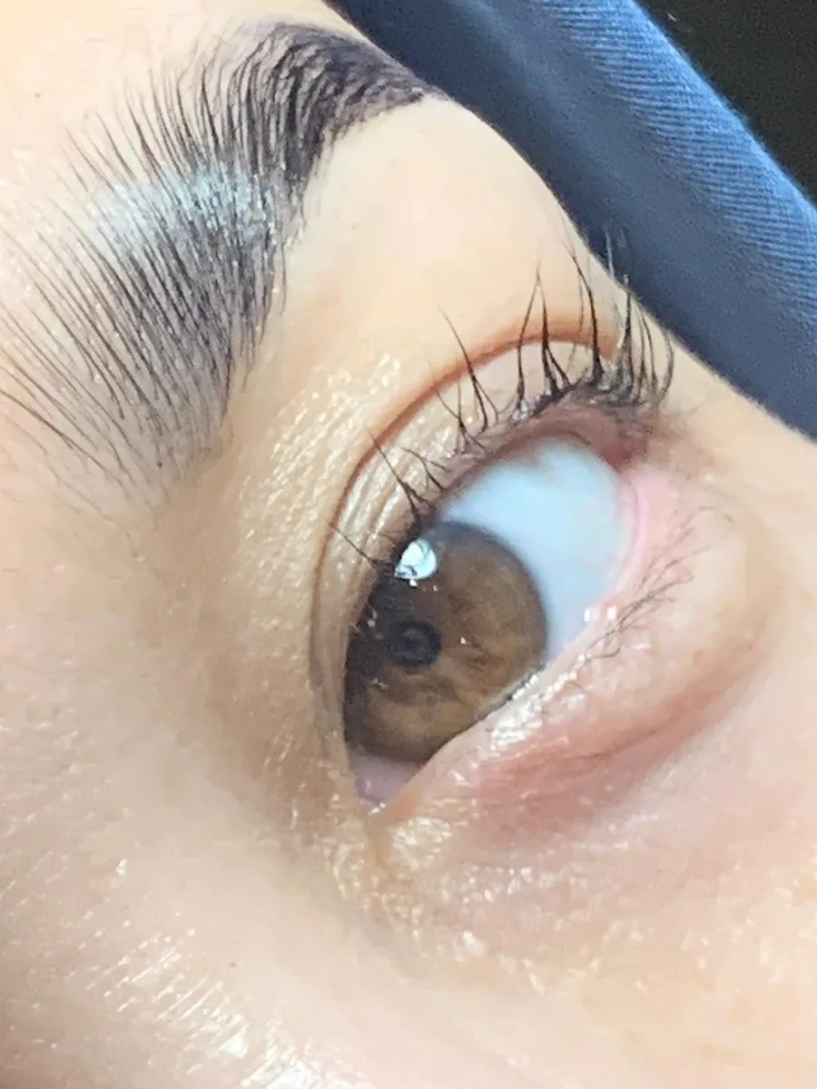 Hasil brow lamination dan eyelash extension, lash dan brow Bogor